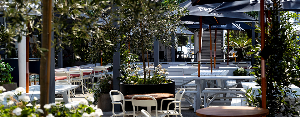 Justine Powell, Sanford Limited